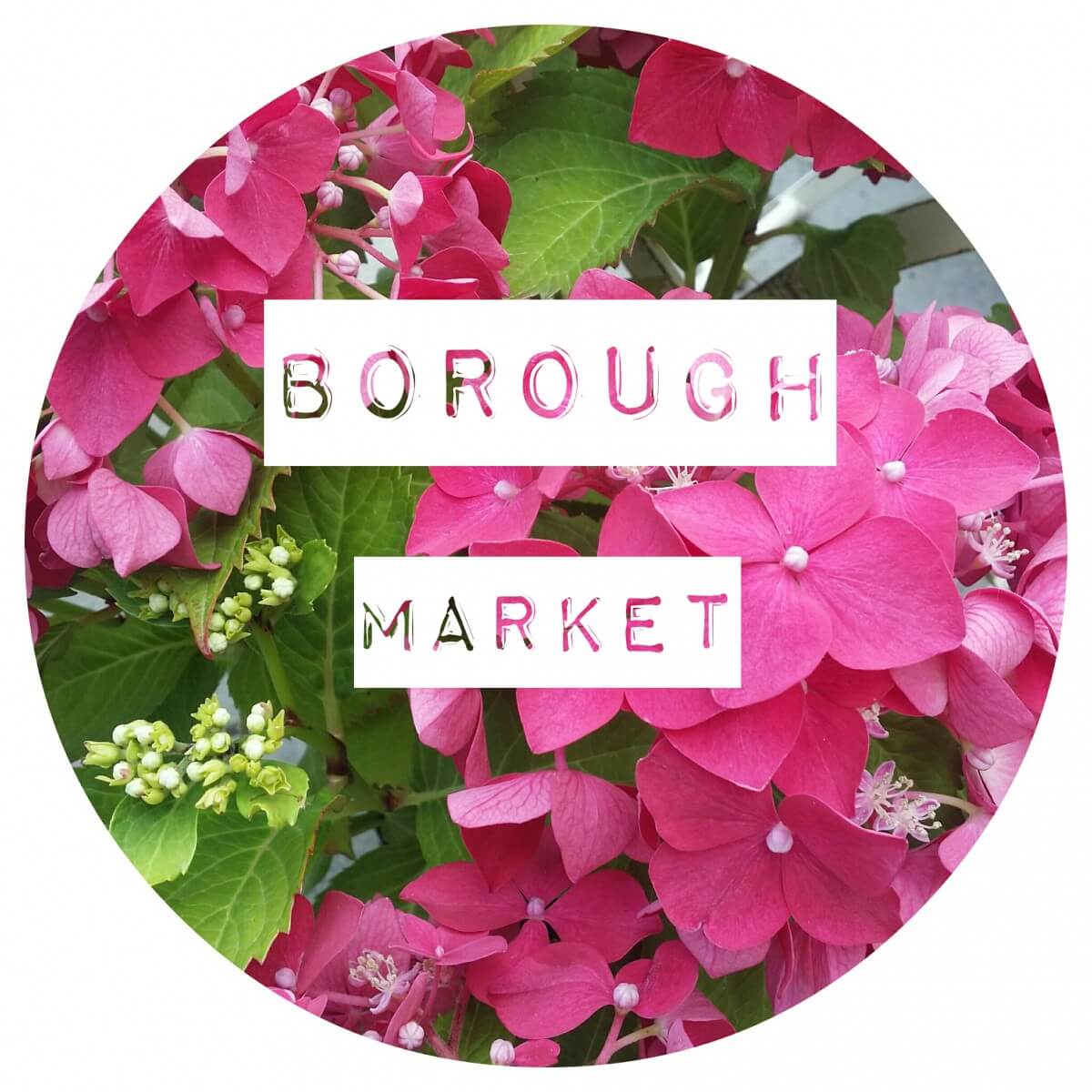 The Borough Market London – Foodie Paradise