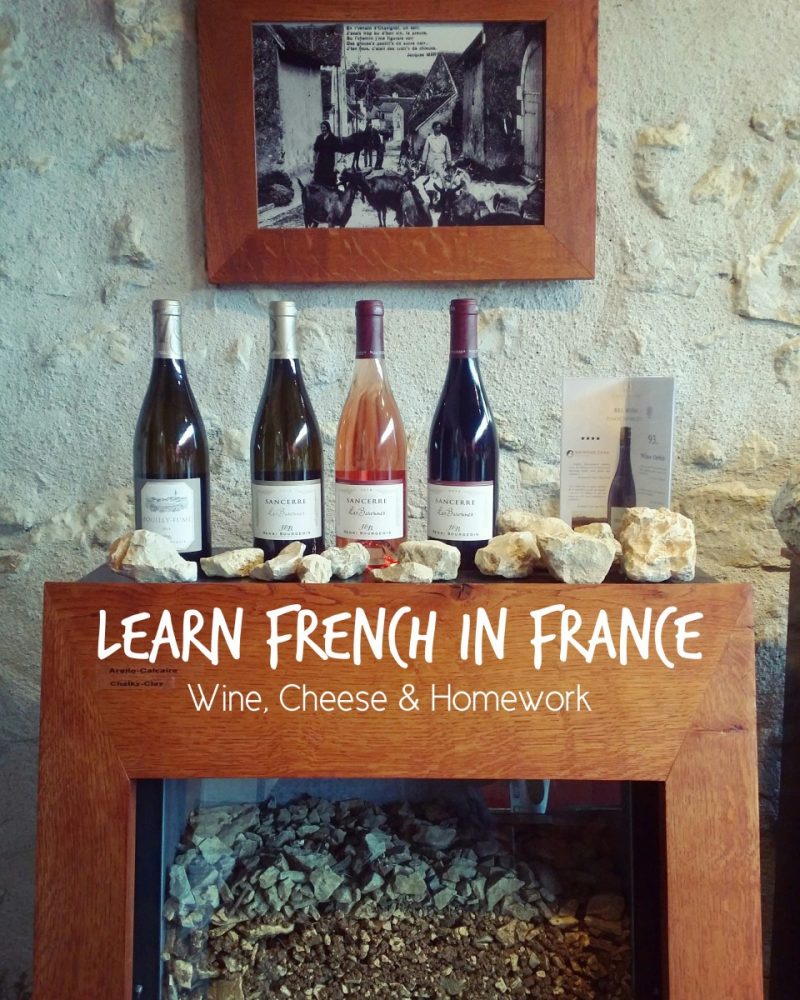 Learn French in France – Wine, Cheese and Homework