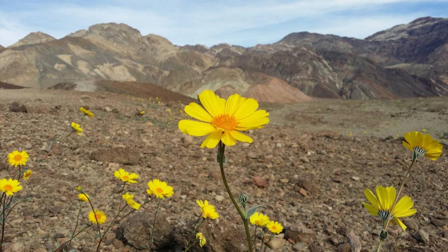 pictures of death valley national park images of death valley