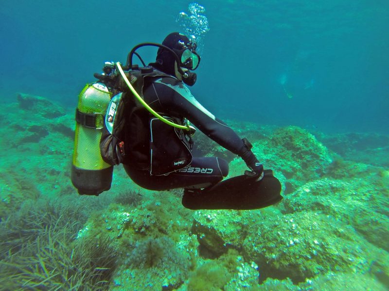 Learning to Dive – Open Water Course