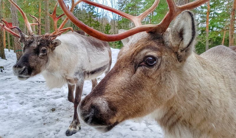 10 Incredible Things to do in Espoo Finland