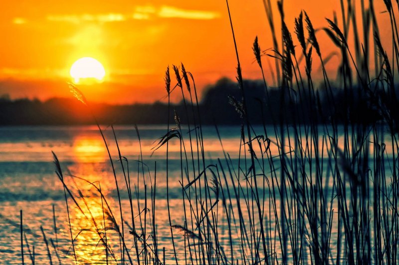 What to Pack for a Relaxing Getaway at the Lake