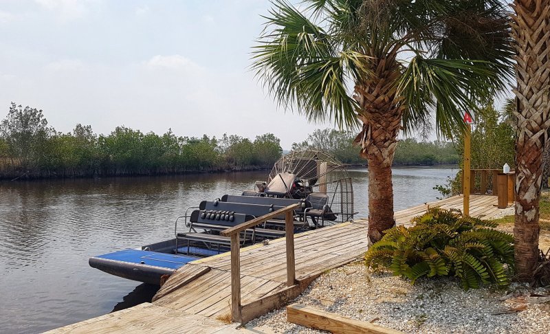 Alligators, Coffee and Fried Green Tomatoes – Florida’s Paradise Coast