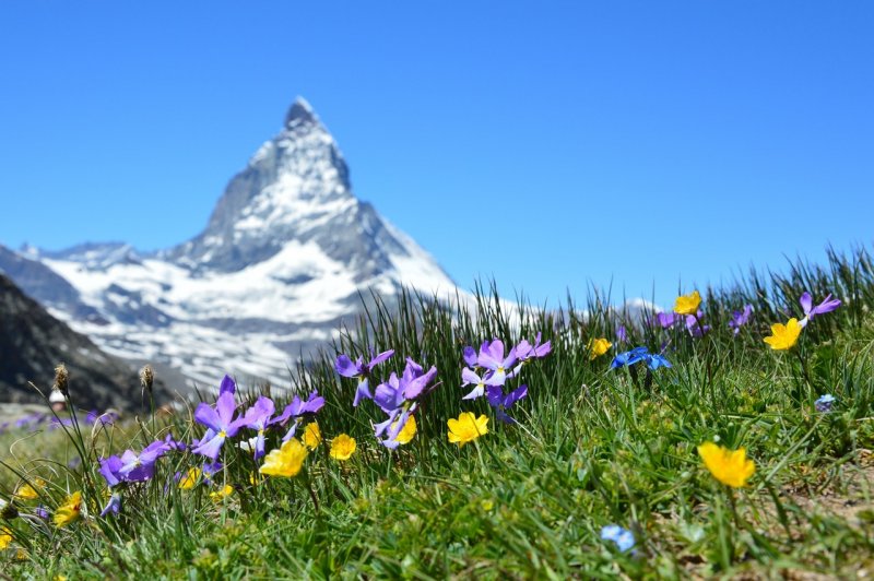 6 Reasons to Visit Switzerland – Raclette, Chocolate and More