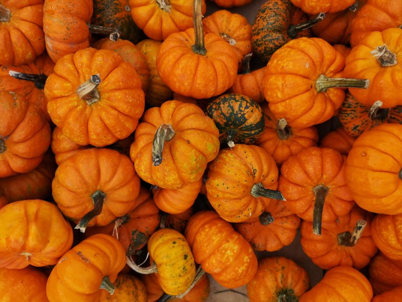 3 Days in Connecticut – Yale, Pumpkins and Gilmore Girls