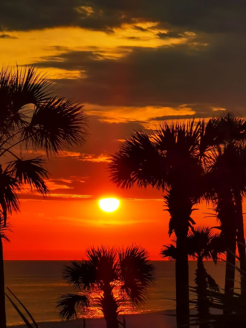 Sandy, Salty & Sweet Things to do in Panama City Beach