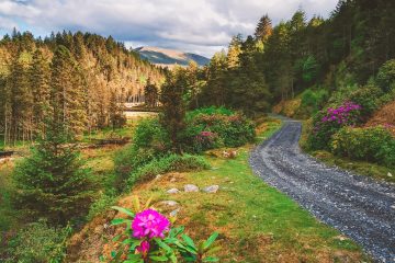 things to do in Mayo Ireland Wild Atlantic Way