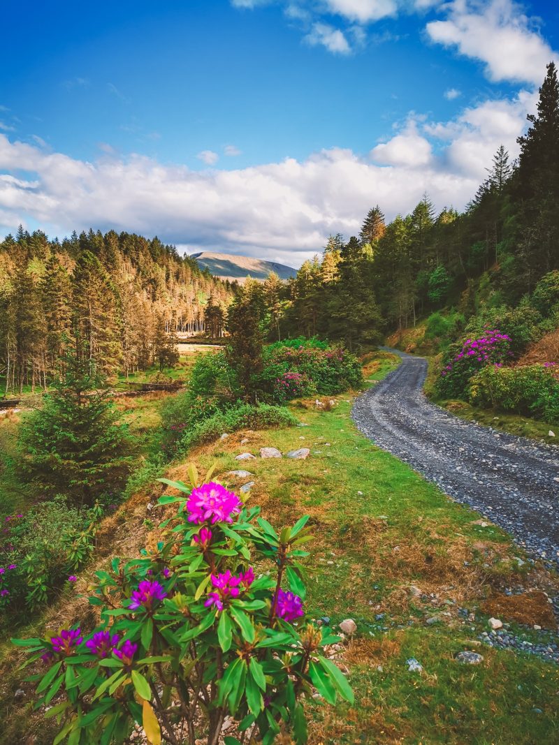 Incredible Things to do in Mayo, Ireland