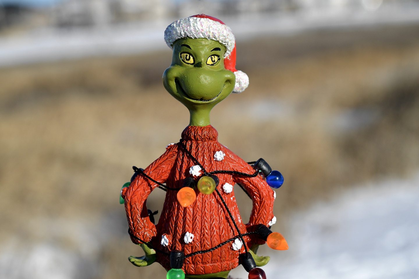 A Grinch’s Guide to Christmas Shopping